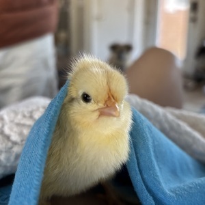 Marlana Keiper